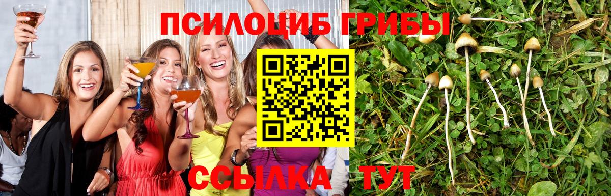 Меф МЯУ МЯУ   Меф  Канабис  Alpha PVP СОЛЬ   ГАШИШ  Вход с VPN  Киселёвск  Кокаин  Лсд 25 