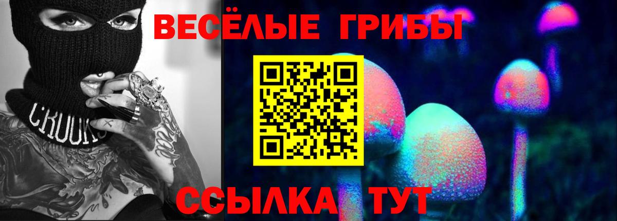Псилоцибиновые грибы GOLDEN TEACHER Киселёвск